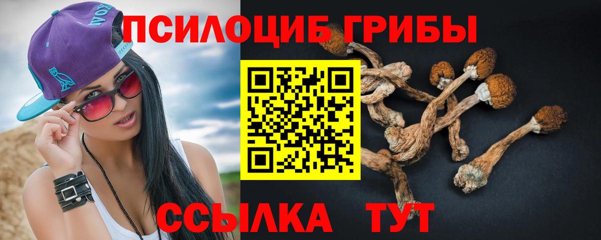 Псилоцибиновые грибы Cubensis  Галлюциногенные грибы MAGIC MUSHROOMS  Ступино  Вход с VPN 